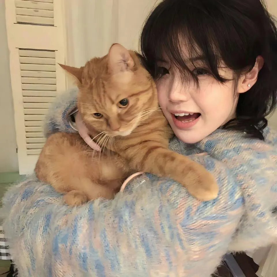 离婚后被五个哥哥宠上天